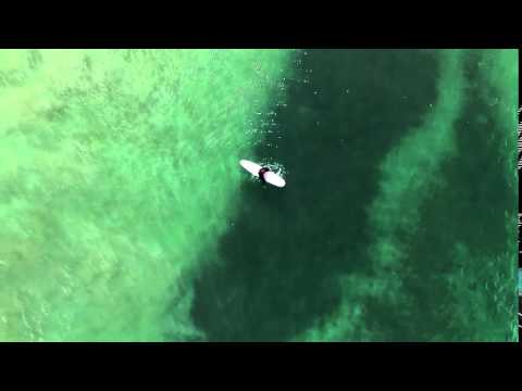 Peaceful surfing moment waiting for a wave  San Diego