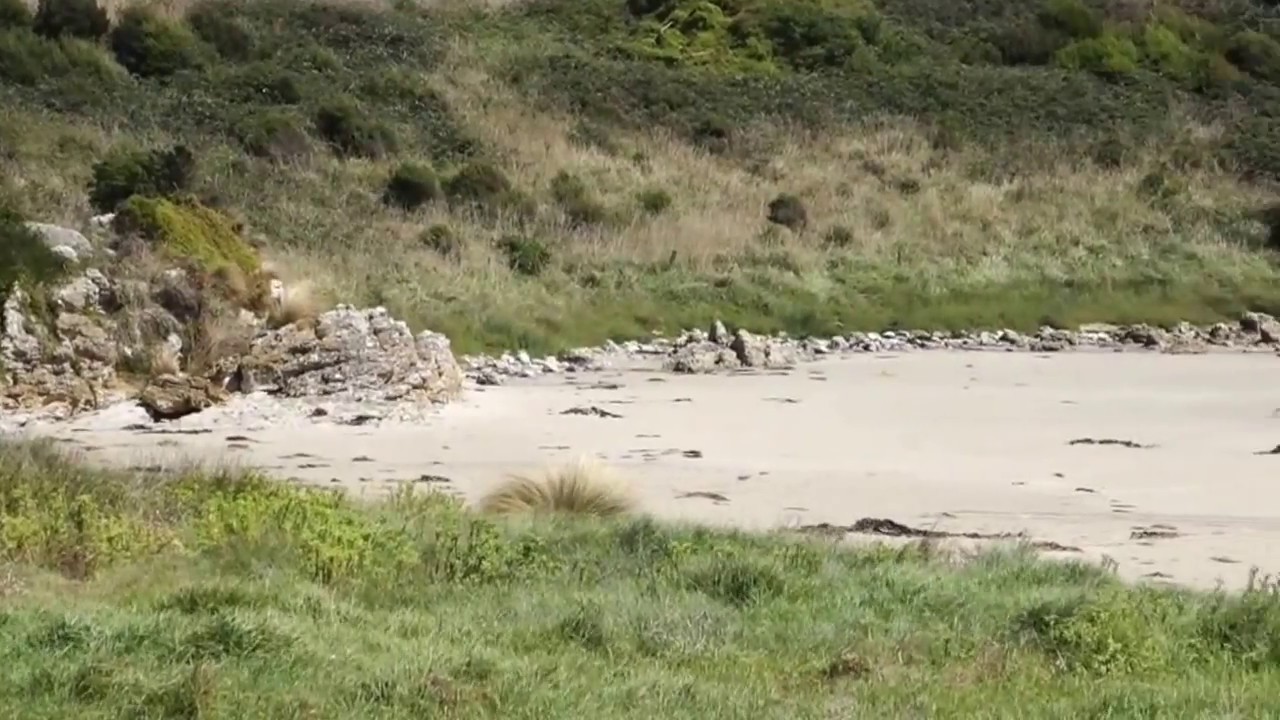 Green Point Beach, Marrawah – Tasmania, Australia