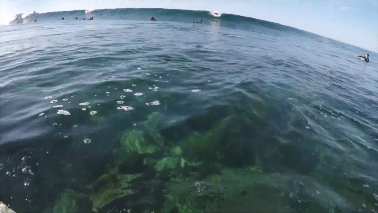 Green Island Surfing | South Coast Australia