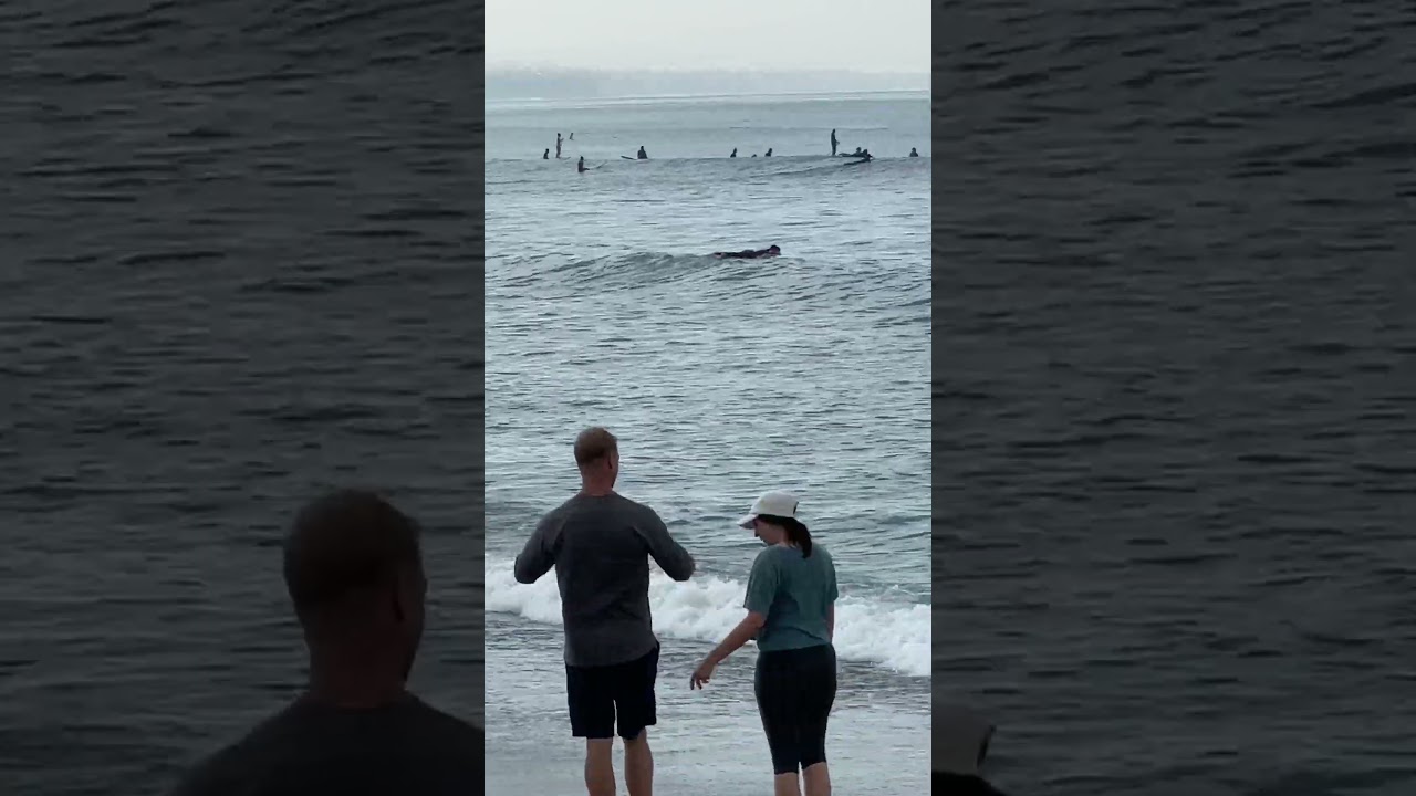 Is Doheny more crowded than Malibu? #surfing