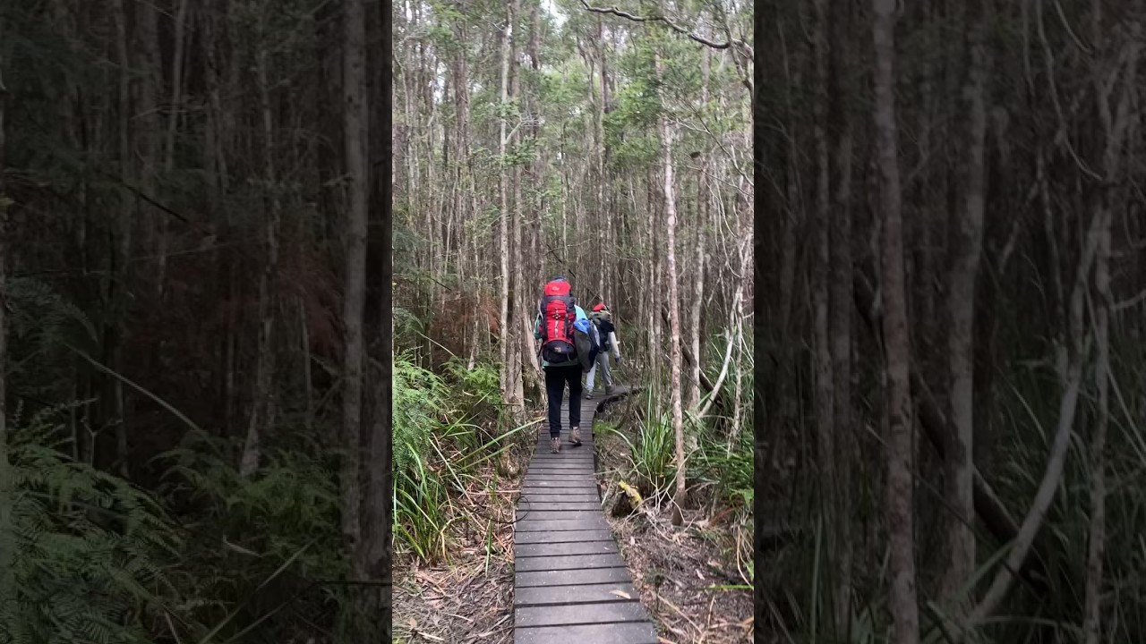 #prankvideo #prank #australia #hikingadventures #tasmania #travel