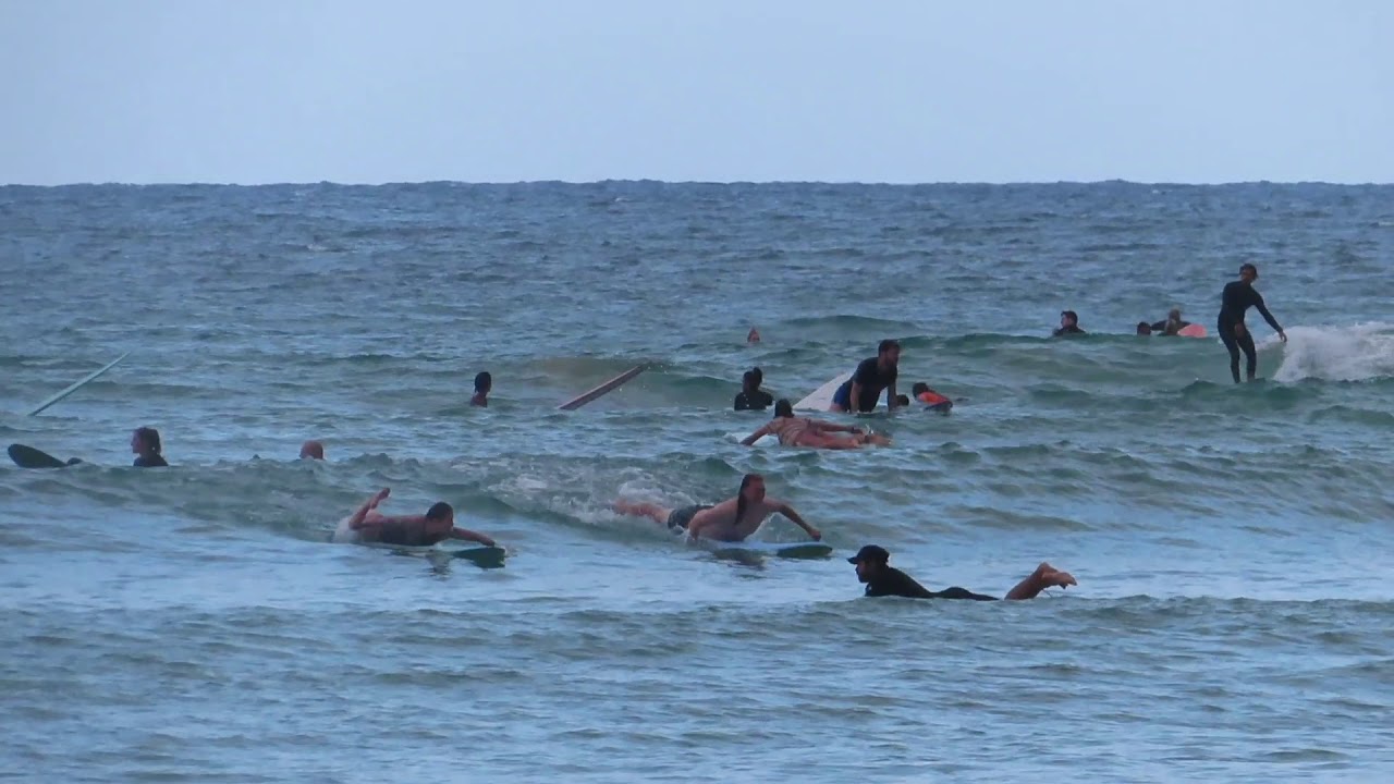 (surf)Noosa Tea tree “karra” (07 11 2020)