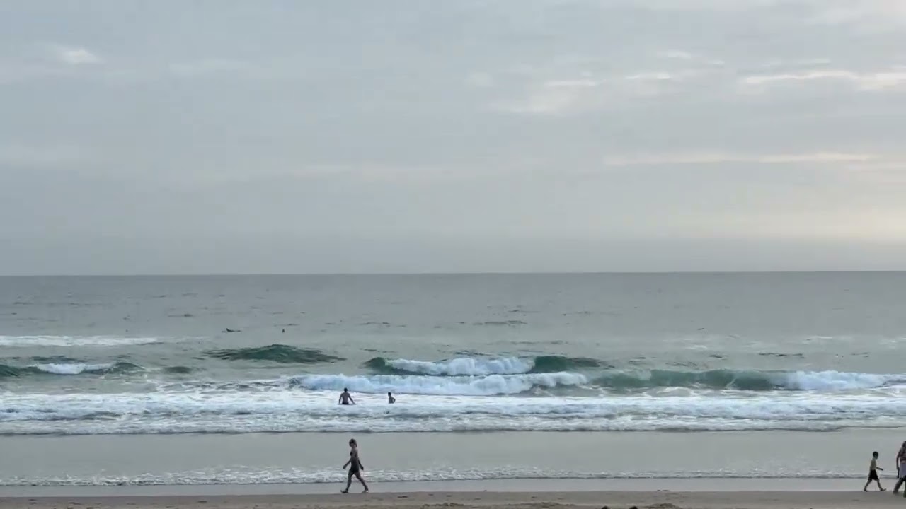 Gold Coast Surf Reports 27/1/24 @tappateecetv