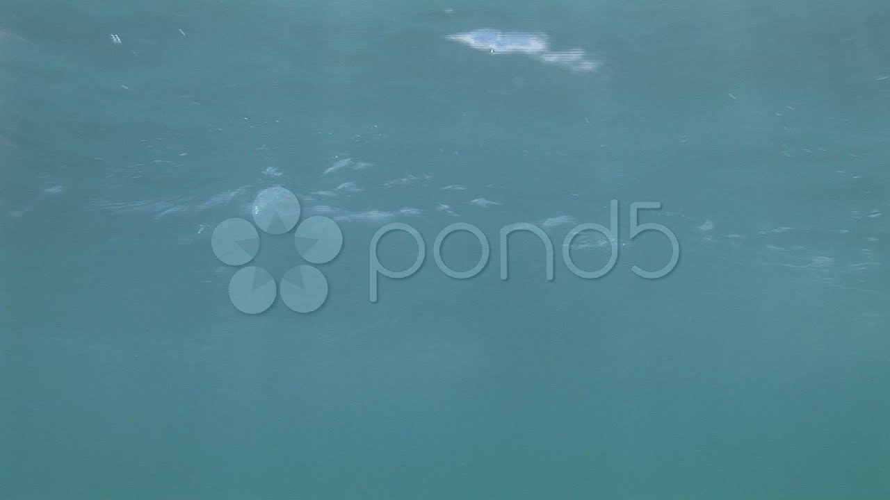 Surfer Paddling Over Underwater Camera Trough Frame. Stock Footage